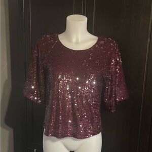 Skies Are Blue Sequin Maroon Blouse
